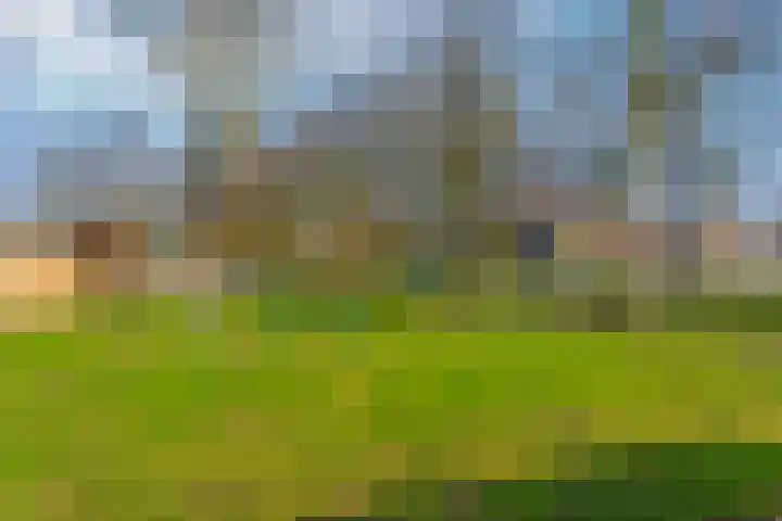 Pauwenkamp 353 Maarssen thumbnail 44