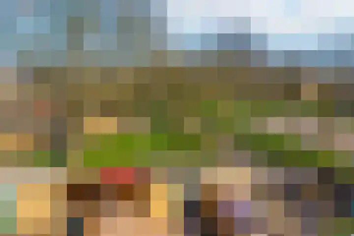 Pauwenkamp 353 Maarssen thumbnail 45