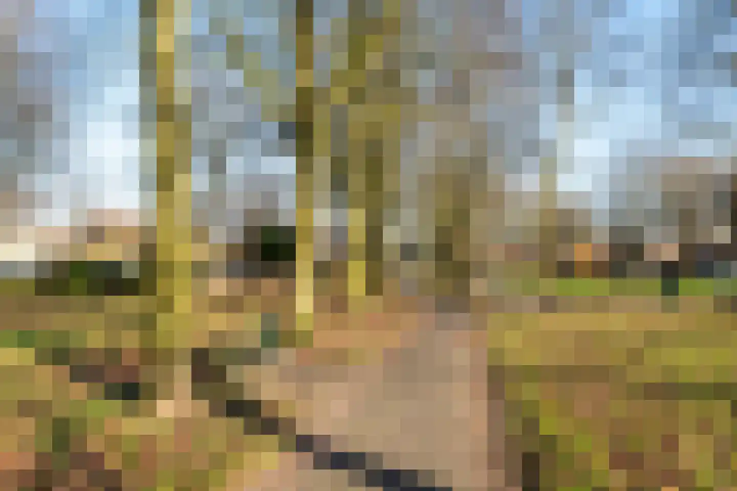 Pauwenkamp 366 Maarssen thumbnail 34