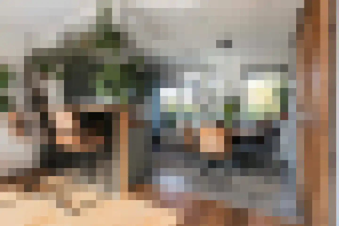 Pauwenkamp 458 Maarssen thumbnail 10