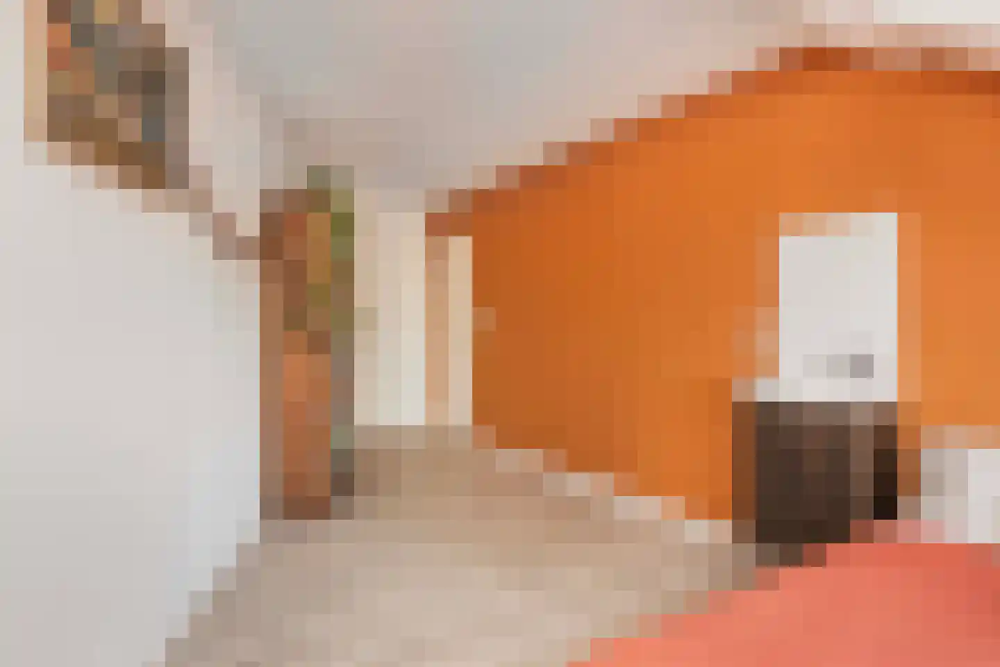 Pauwenkamp 458 Maarssen thumbnail 30