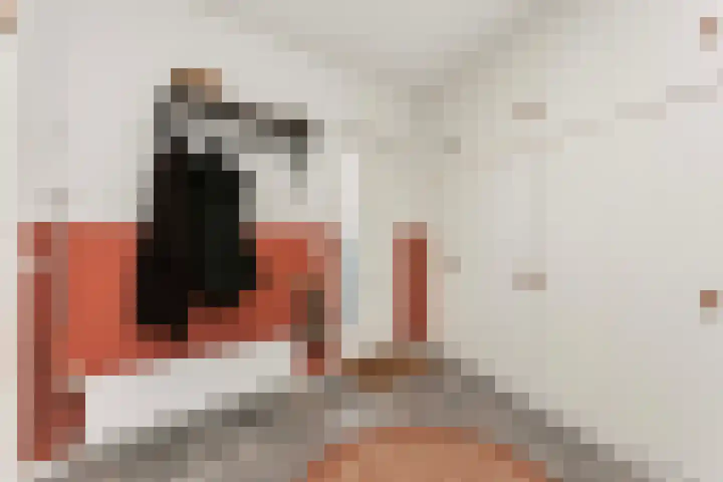 Pauwenkamp 458 Maarssen thumbnail 6