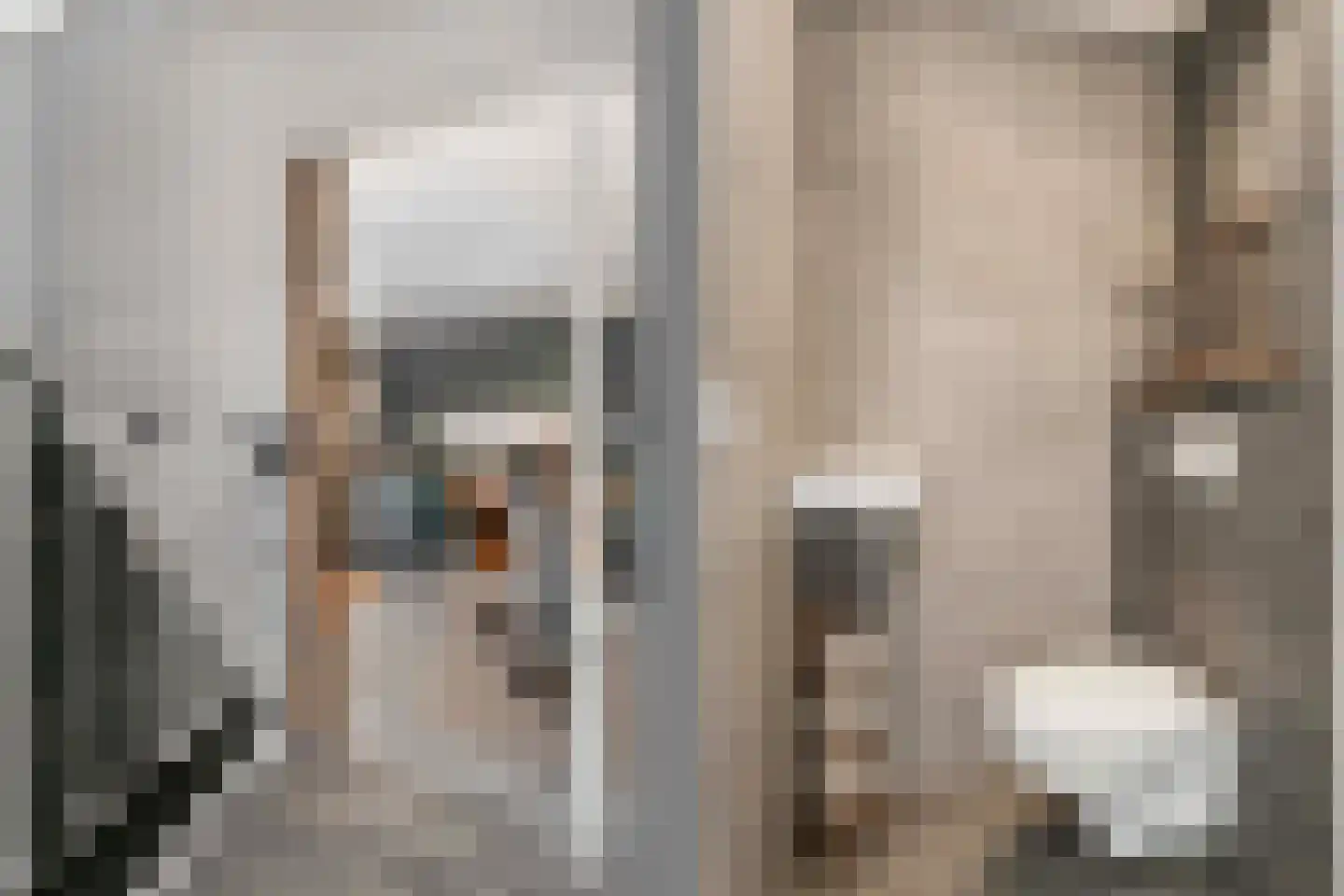 Pauwenkamp 458 Maarssen thumbnail 9