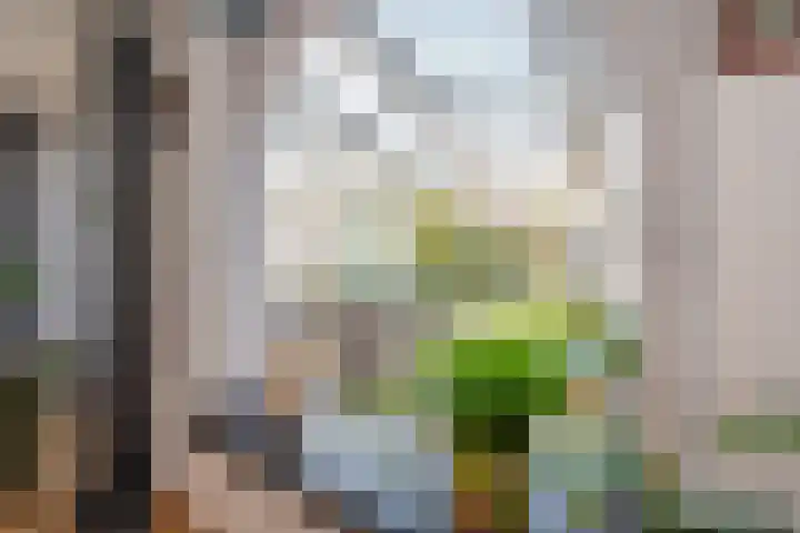Pauwenkamp 59 Maarssen thumbnail 13