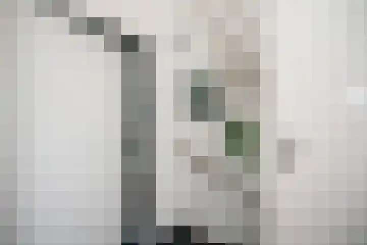 Pauwenkamp 59 Maarssen thumbnail 33