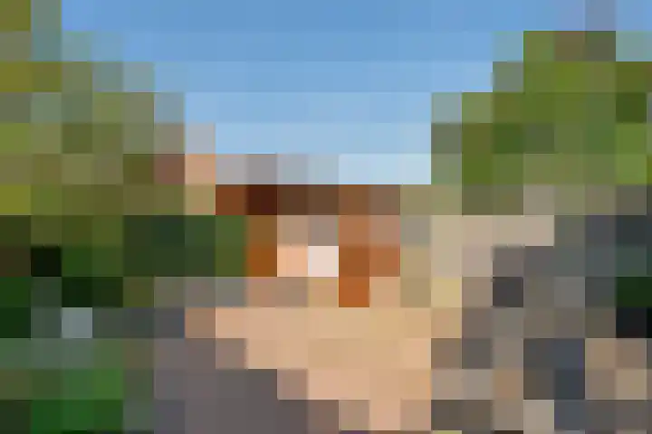 Pauwenkamp 59 Maarssen thumbnail 42