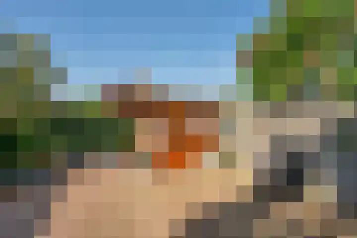 Pauwenkamp 59 Maarssen thumbnail 6
