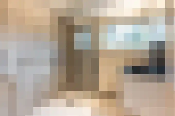Pauwenkamp 7 Harderwijk thumbnail 4