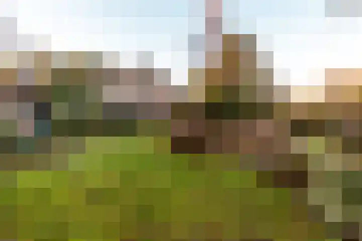 Pauwenkamp 7 Harderwijk thumbnail 44