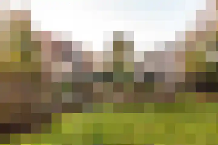 Pauwenkamp 7 Harderwijk thumbnail 45