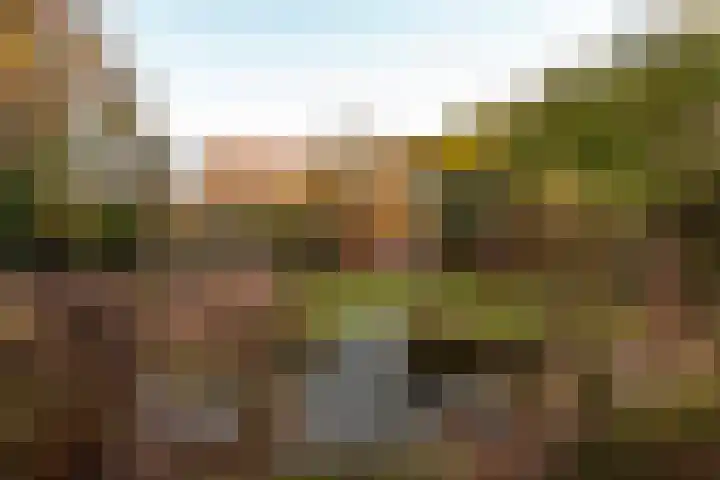 Pauwenkamp 7 Harderwijk thumbnail 47