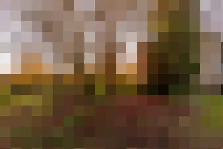 Pauwenkamp 7 Harderwijk thumbnail 48