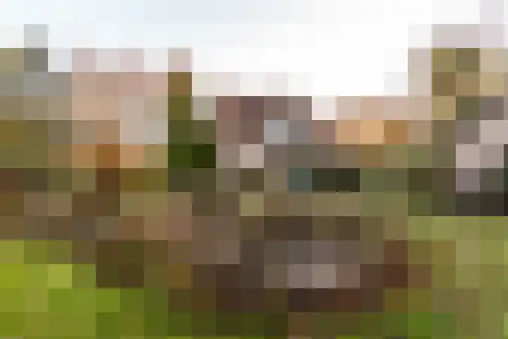 Pauwenkamp 7 Harderwijk thumbnail 50