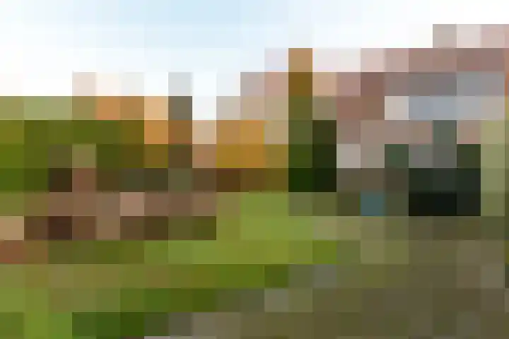 Pauwenkamp 7 Harderwijk thumbnail 51