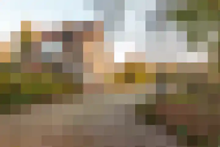 Pauwenkamp 7 Harderwijk thumbnail 52