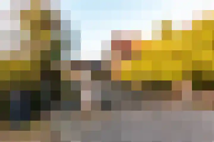 Pauwenkamp 7 Harderwijk thumbnail 53