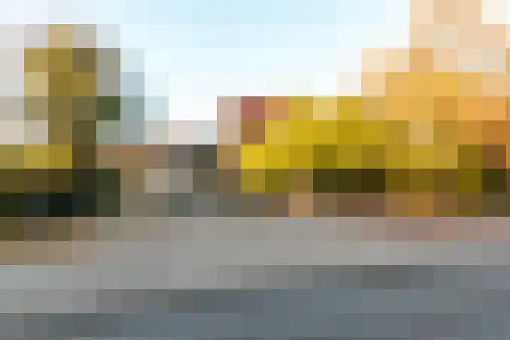 Pauwenkamp 7 Harderwijk thumbnail 54