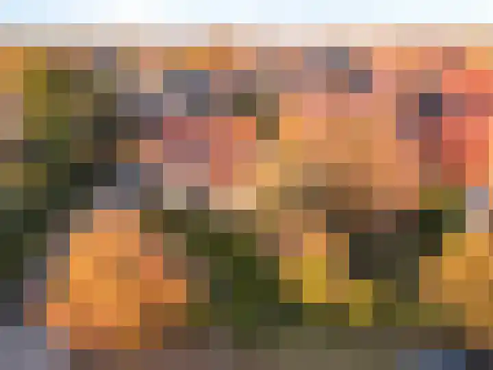 Pauwenkamp 7 Harderwijk thumbnail 56