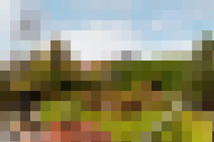 Pauwenkamp 7 Harderwijk thumbnail 6