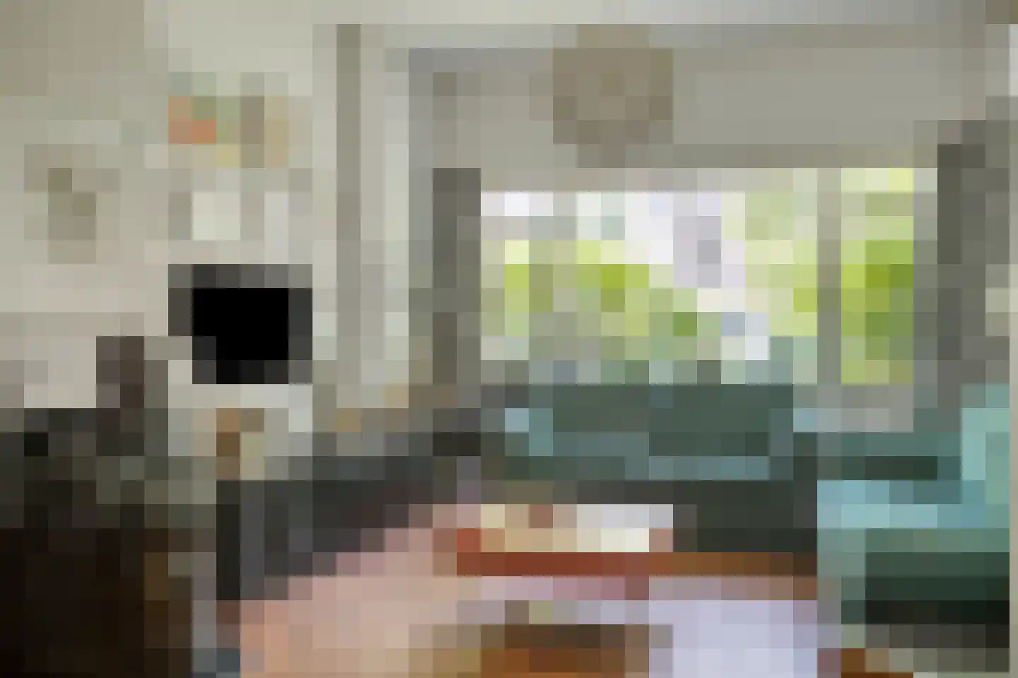 Pauwenlaan 122 Den Haag thumbnail 10
