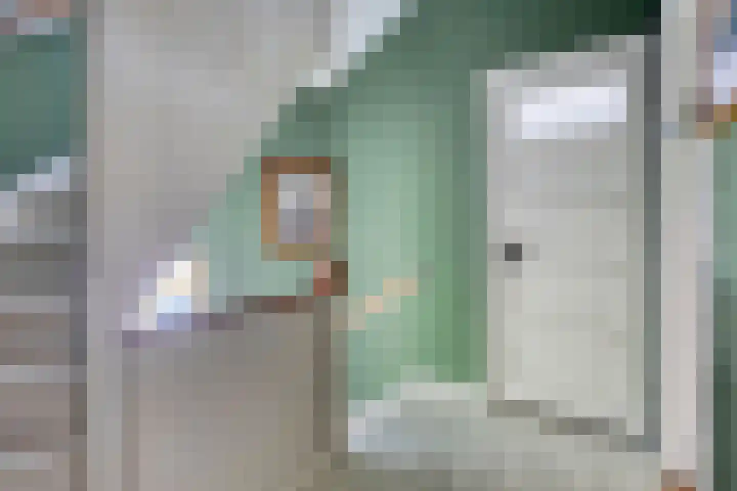 Pauwenlaan 122 Den Haag thumbnail 23