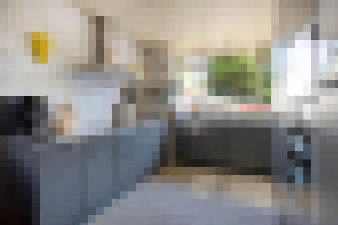Pauwenlaan 122 Den Haag thumbnail 4
