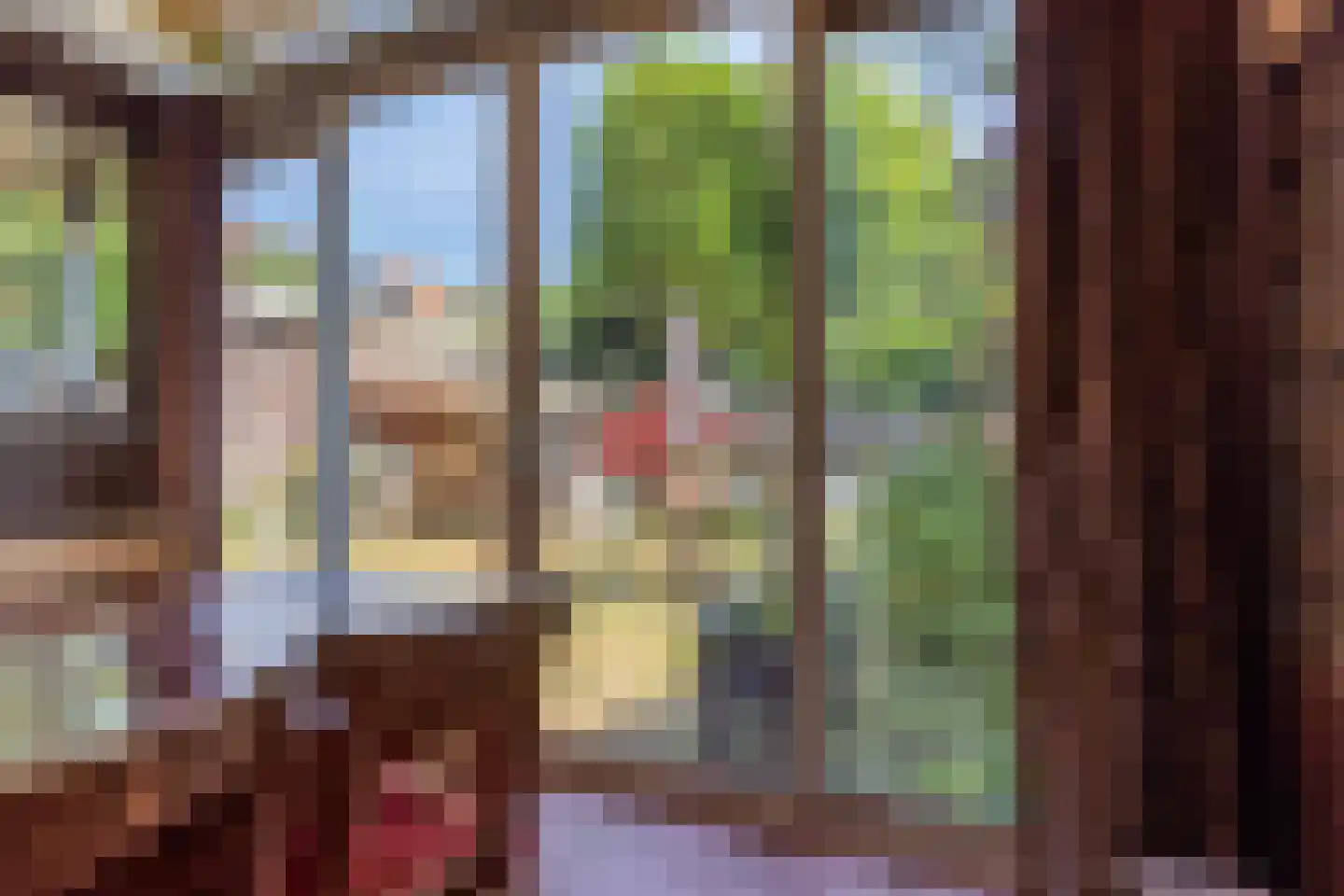 Pauwenlaan 122 Den Haag thumbnail 42