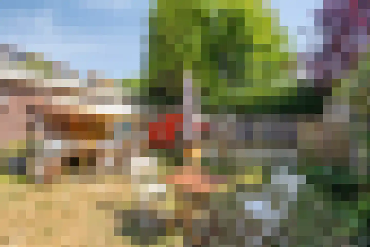 Pauwenlaan 122 Den Haag thumbnail 43
