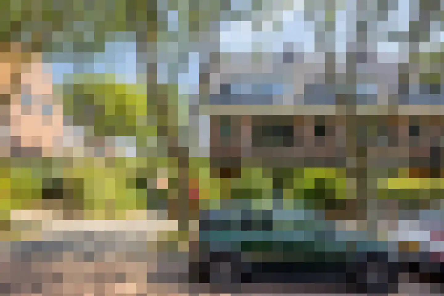 Pauwenlaan 122 Den Haag thumbnail 52
