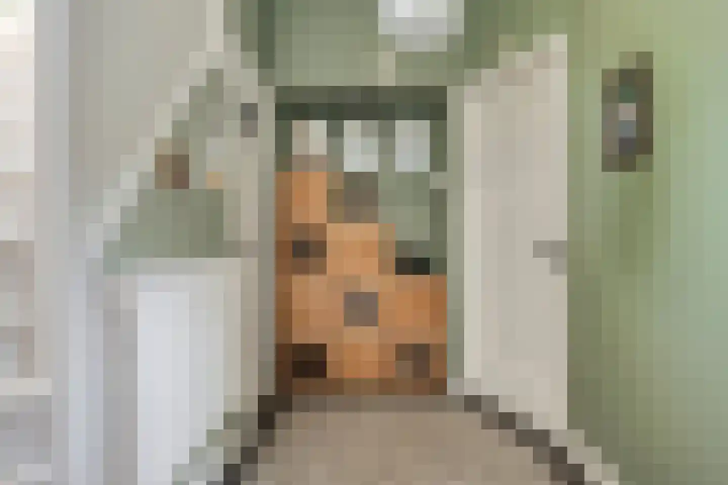 Pauwenlaan 122 Den Haag thumbnail 8
