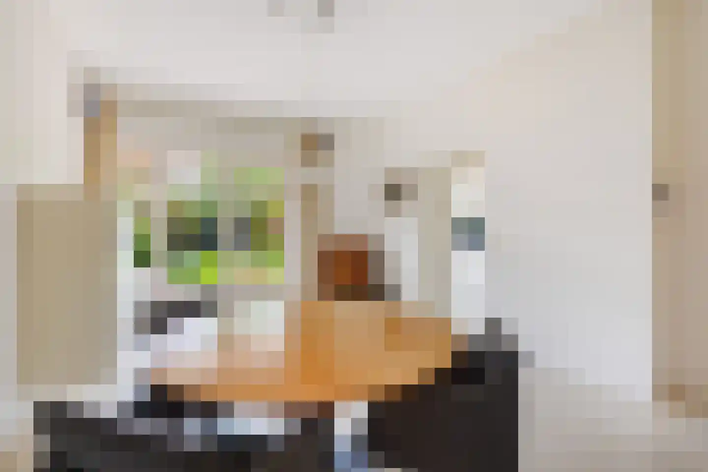 Pauwenlaan 49 Den Haag thumbnail 11
