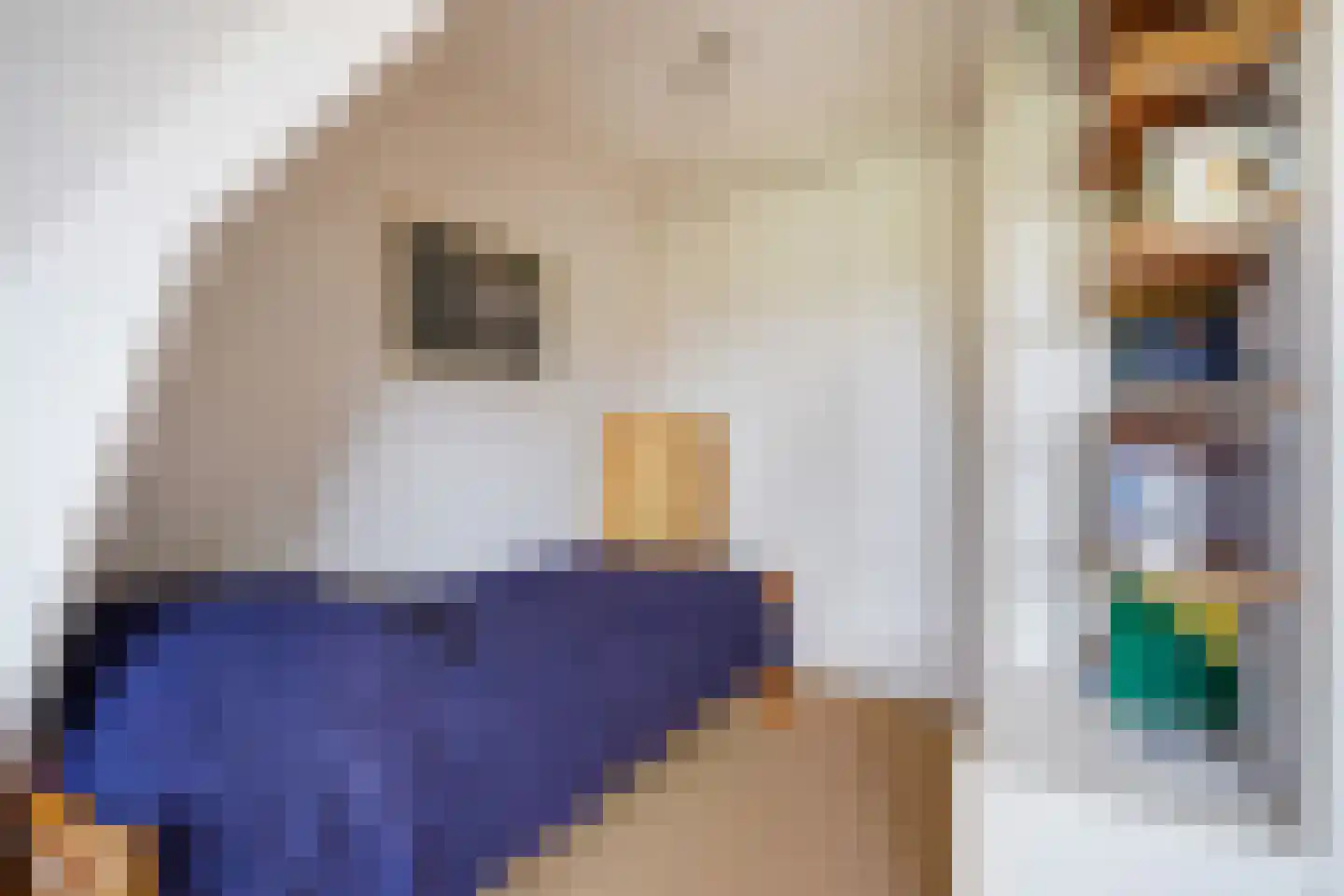 Pauwenlaan 49 Den Haag thumbnail 48