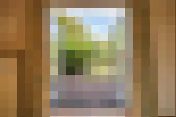 Pauwenlaan 73 Den Haag thumbnail 11