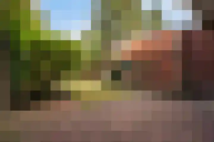 Pauwenlaan 73 Den Haag thumbnail 12