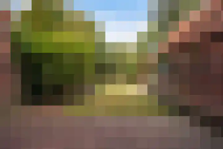Pauwenlaan 73 Den Haag thumbnail 13