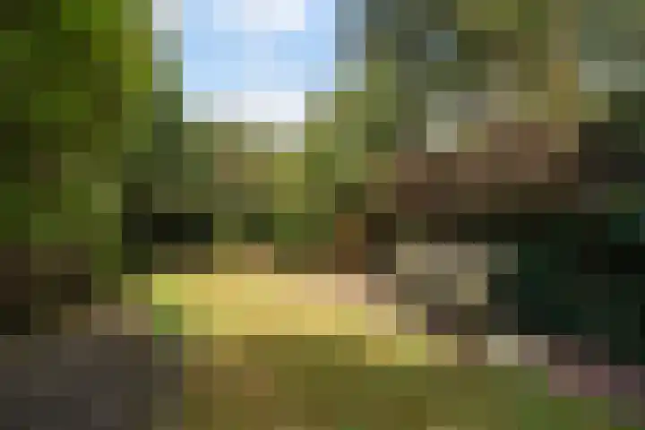 Pauwenlaan 73 Den Haag thumbnail 14
