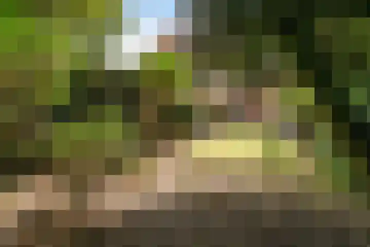 Pauwenlaan 73 Den Haag thumbnail 15