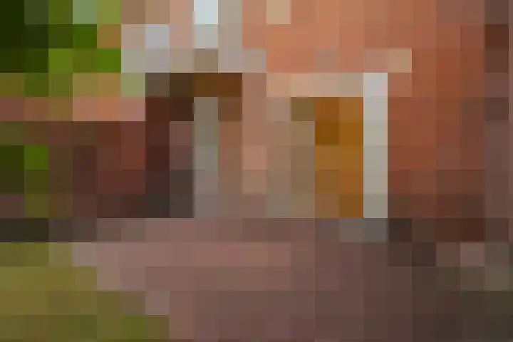 Pauwenlaan 73 Den Haag thumbnail 16