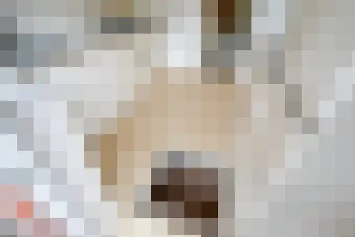 Pauwenlaan 73 Den Haag thumbnail 18