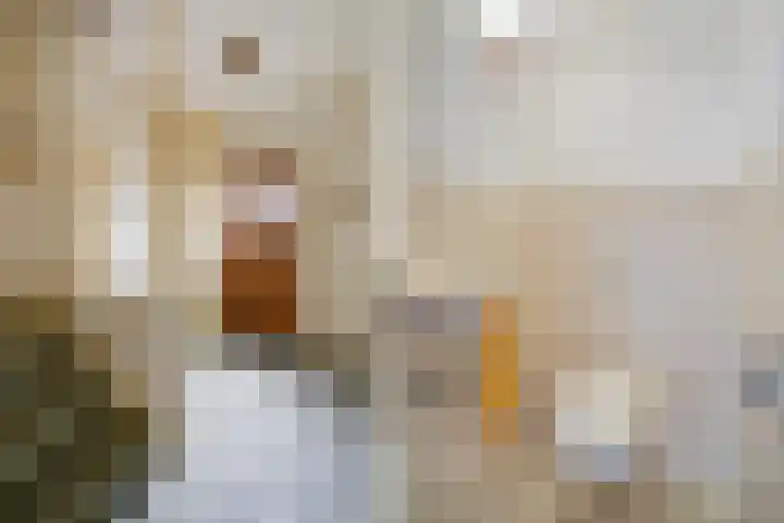Pauwenlaan 73 Den Haag thumbnail 20