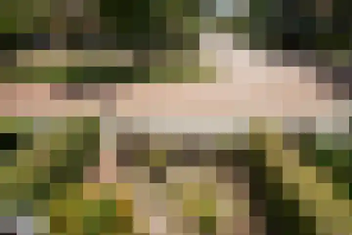 Pauwenlaan 73 Den Haag thumbnail 38