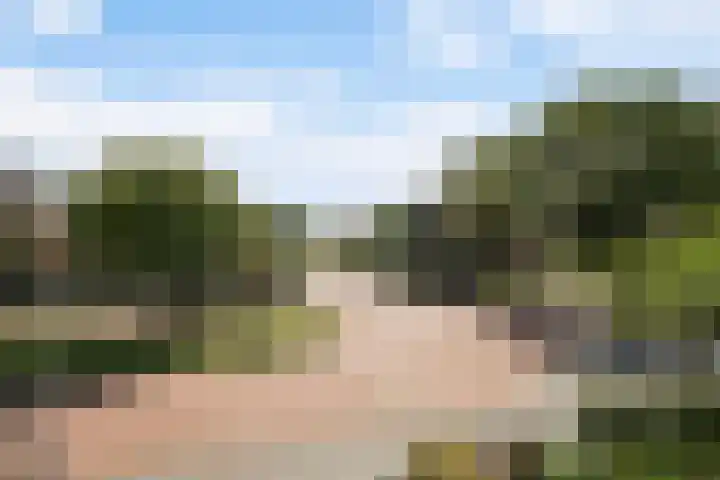 Pauwenlaan 73 Den Haag thumbnail 4