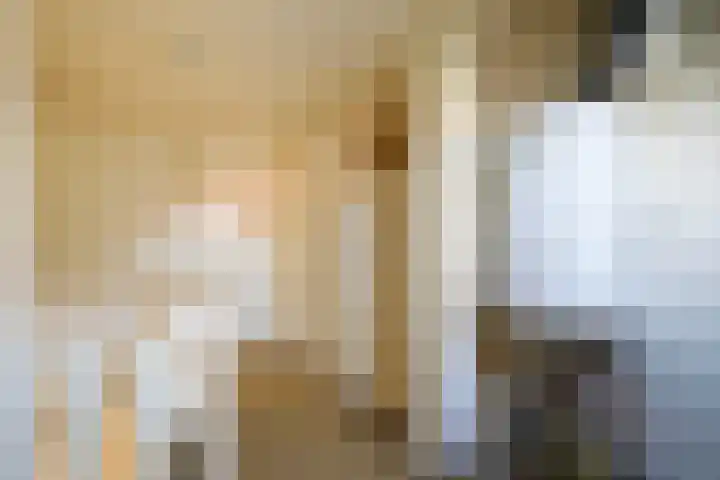 Pauwenlaan 73 Den Haag thumbnail 41