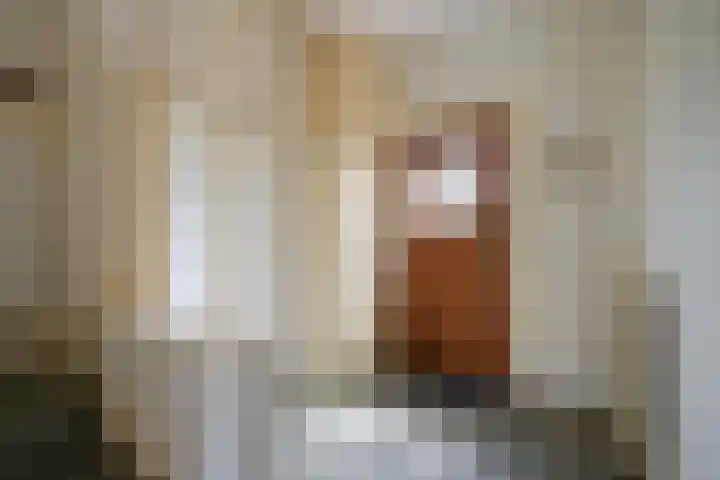 Pauwenlaan 73 Den Haag thumbnail 42