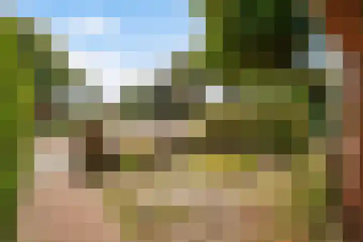 Pauwenlaan 73 Den Haag thumbnail 43