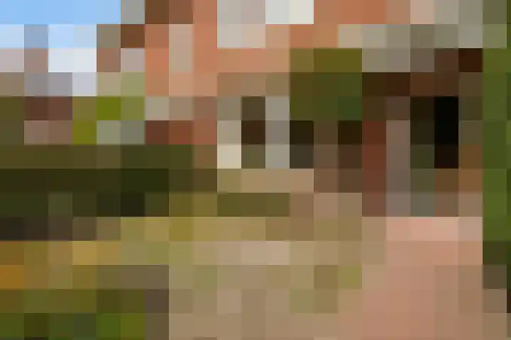 Pauwenlaan 73 Den Haag thumbnail 5