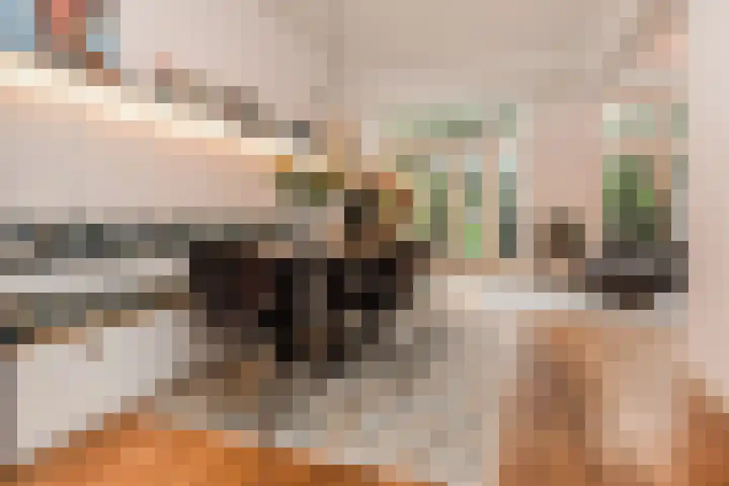 Pauwenlaan 85 Den Haag thumbnail 11