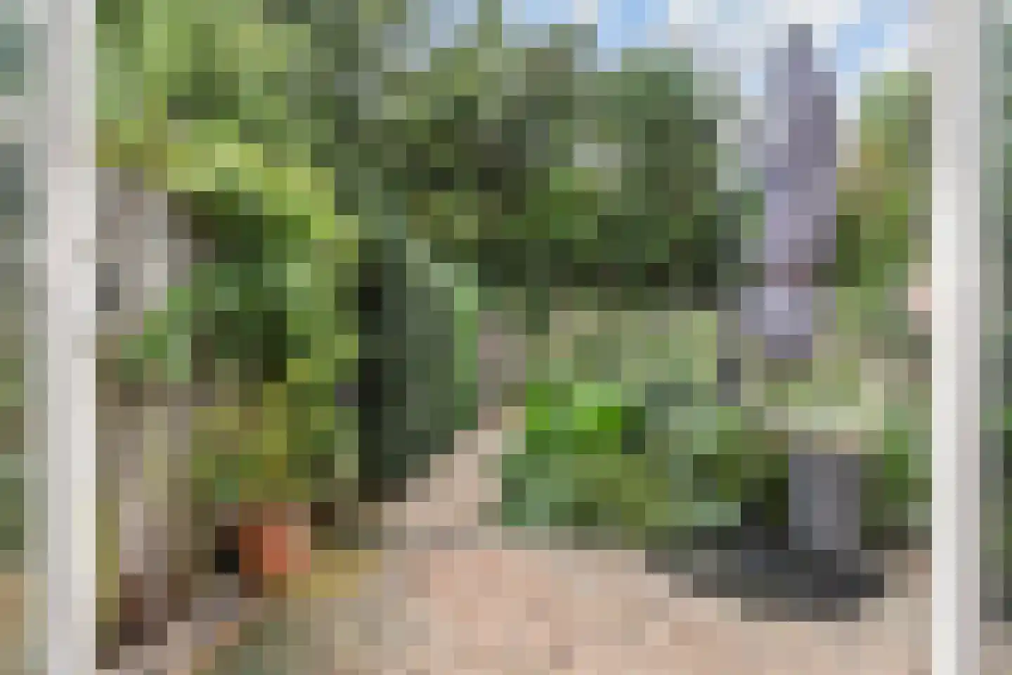 Pauwenlaan 85 Den Haag thumbnail 12