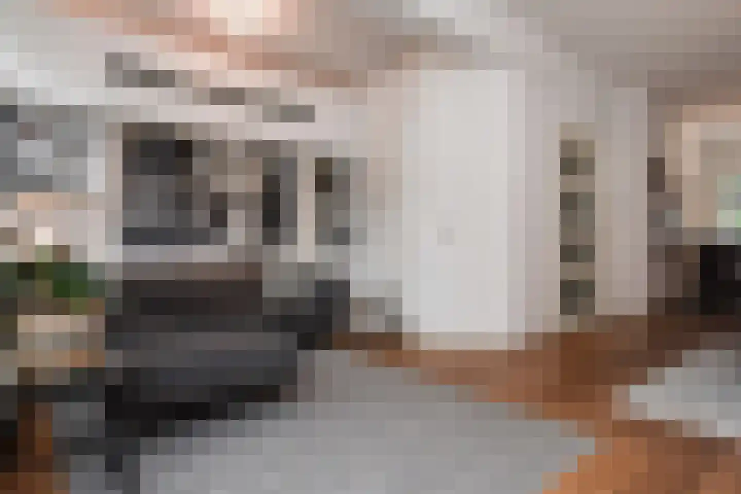 Pauwenlaan 85 Den Haag thumbnail 17