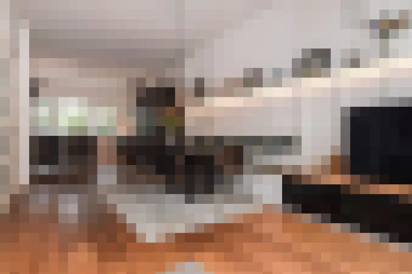 Pauwenlaan 85 Den Haag thumbnail 18